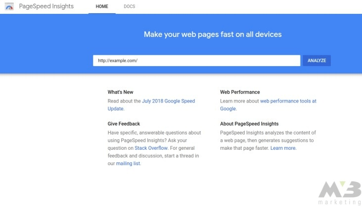 PageSpeed Insights Homepage