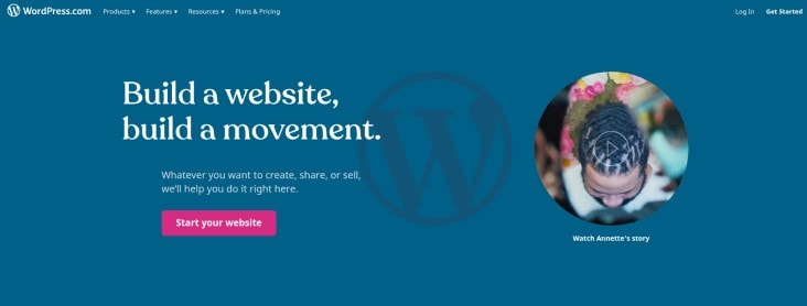 WordPress Login Homepage