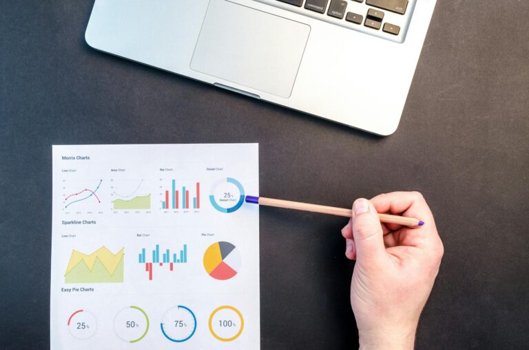 SEO timeline growth chart and results